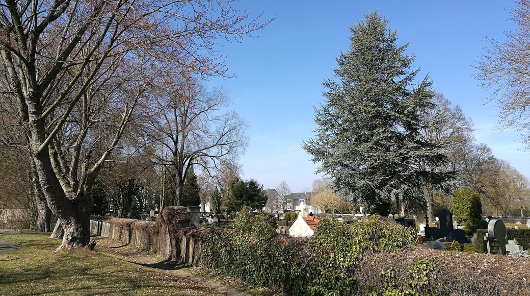 Deutschland (D) - Baden-Württemberg (BW) - Landkreis Sigmaringen (SIG) - Bad Saulgau: "Alter Friedhof", Teil des Landschaftsschutzgebiets "Landschaftsteil bei der Frauenkapelle"