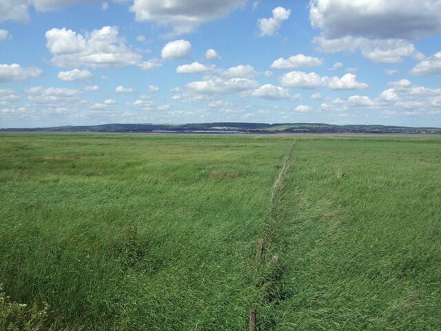 Beyond the Flood Bank Photo taken from the public footpath between Winteringham Haven and Whitton. The land between the flood bank and the Humber is marked on the OS map as a bird sanctuary.