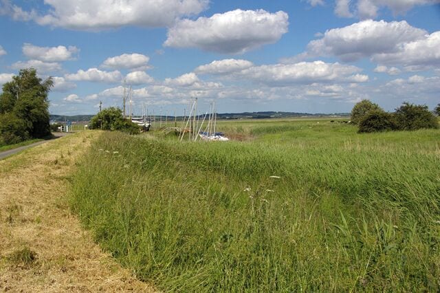 Winteringham Haven The mown stretch of grass marks the public footpath to Whitton.