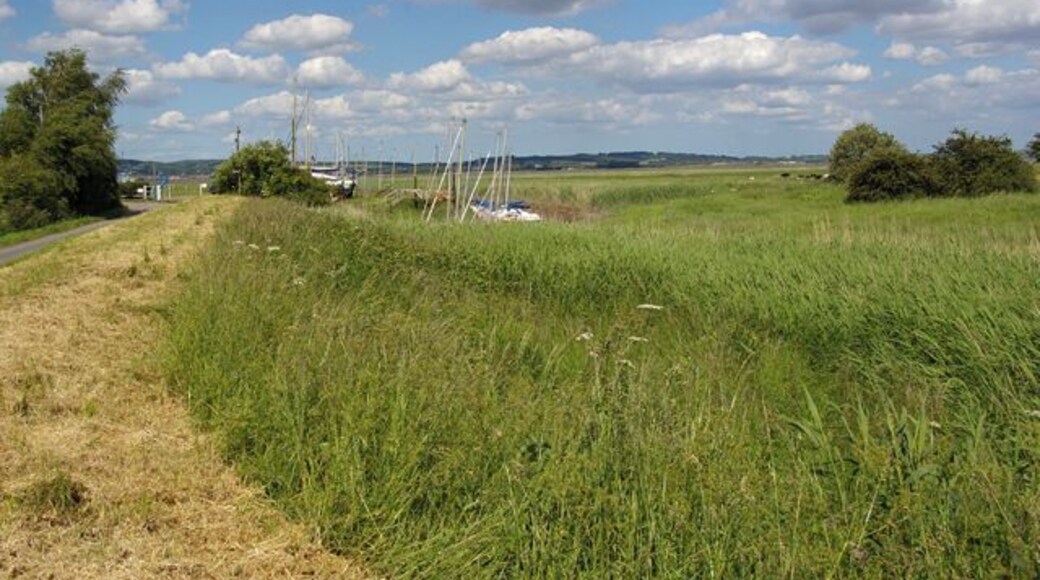 Winteringham Haven The mown stretch of grass marks the public footpath to Whitton.