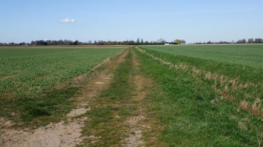 Track alongside Eastoft Main Parish Drain