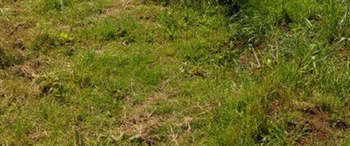 The Public Footpath to West Halton