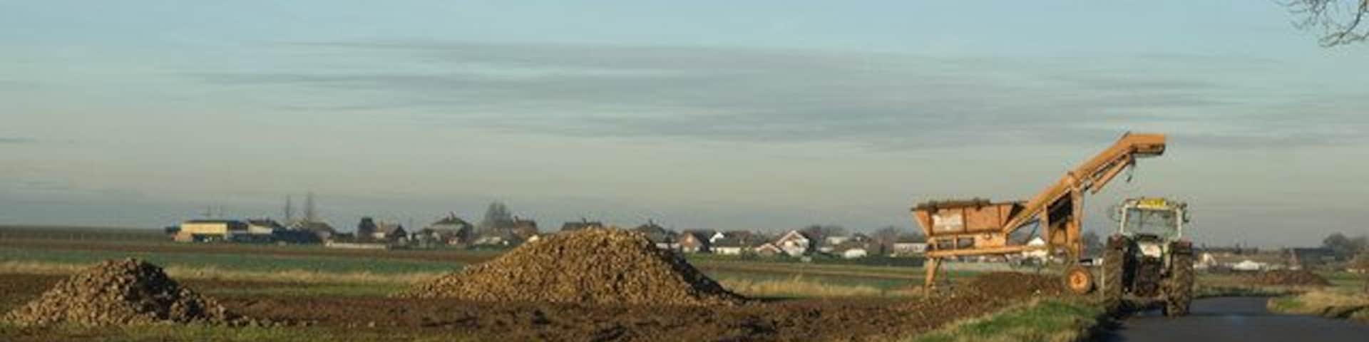 Root Crop Cleaning near Winteringham. This piece of agricultural machinery seen on the Winterton Road removes earth from root crops.
