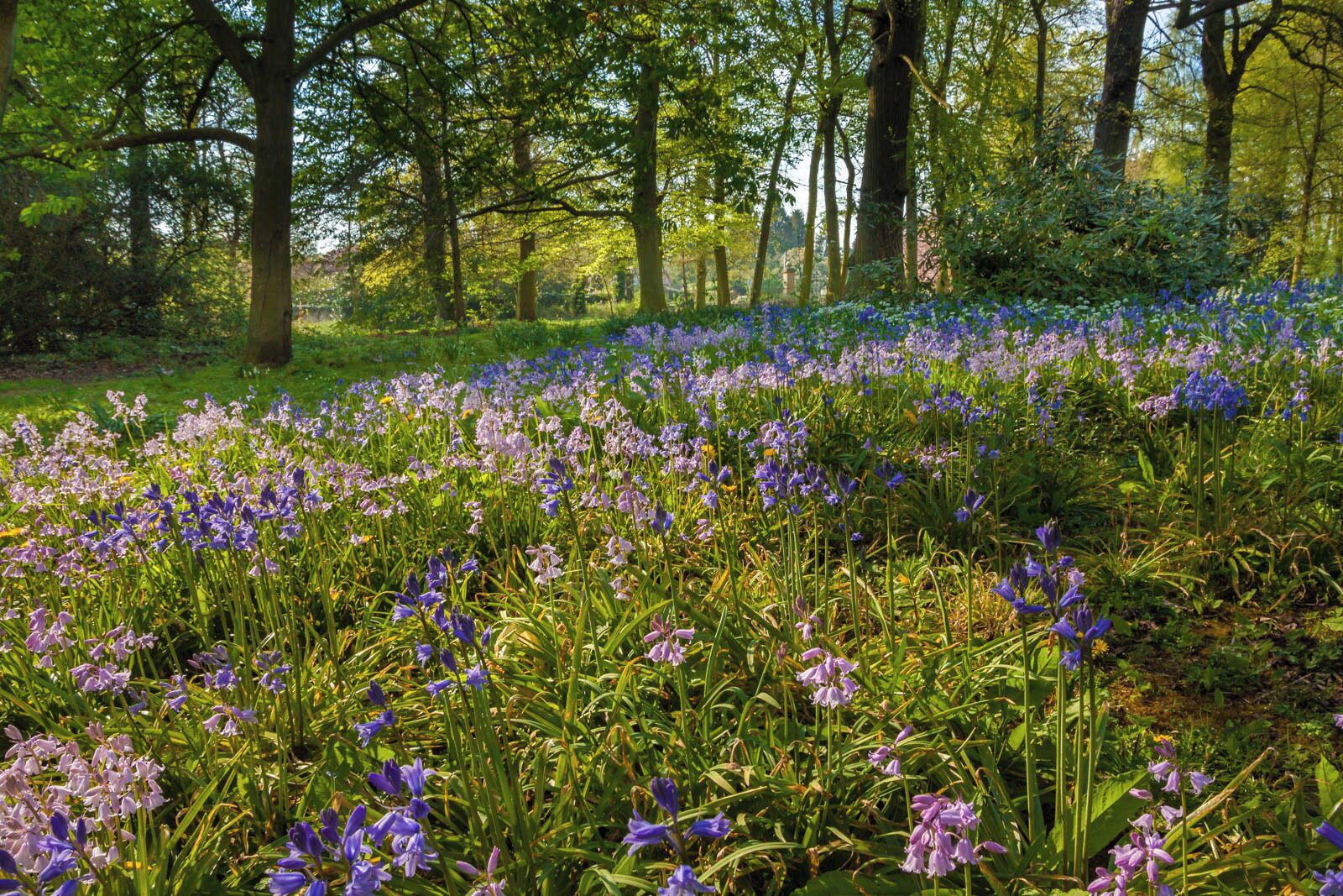 Normanby Hall grounds IMG_1461