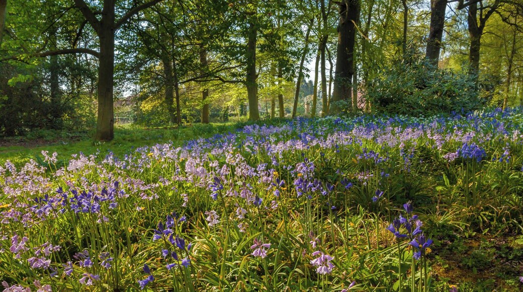 Normanby Hall grounds IMG_1461