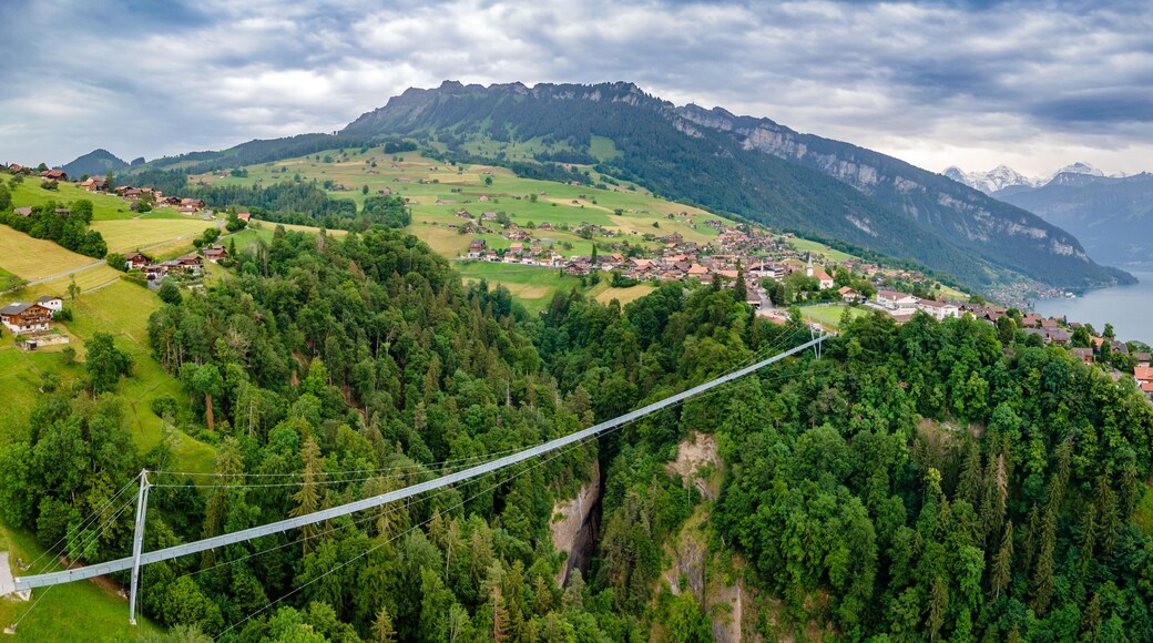 Sigriswil suspension bridge, Switzerland.