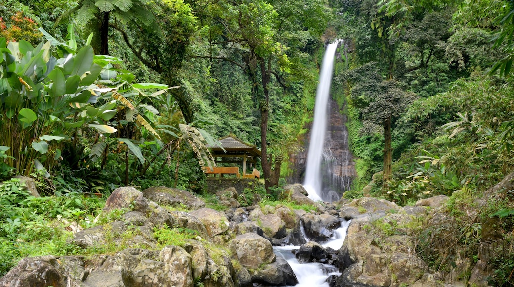 ์ฑ๊ฐ๋ผ์