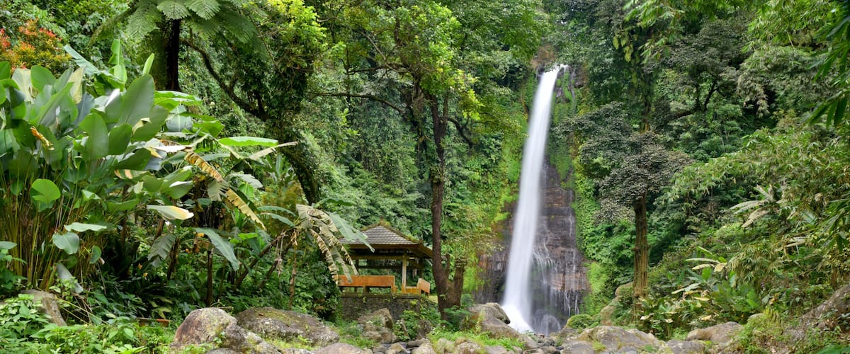 A waterfall in a lush forest with a small wooden structure nearby.