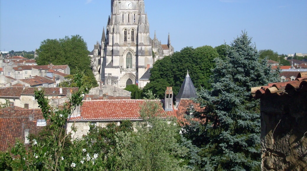 La cathédrale Saint-Pierre