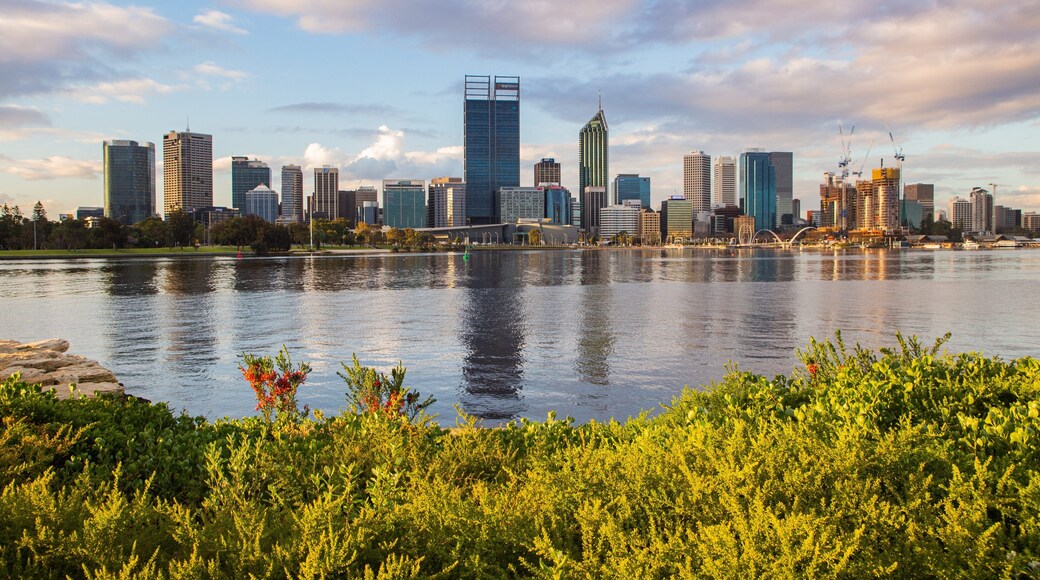 South Perth which includes a sunset, a bay or harbor and a city