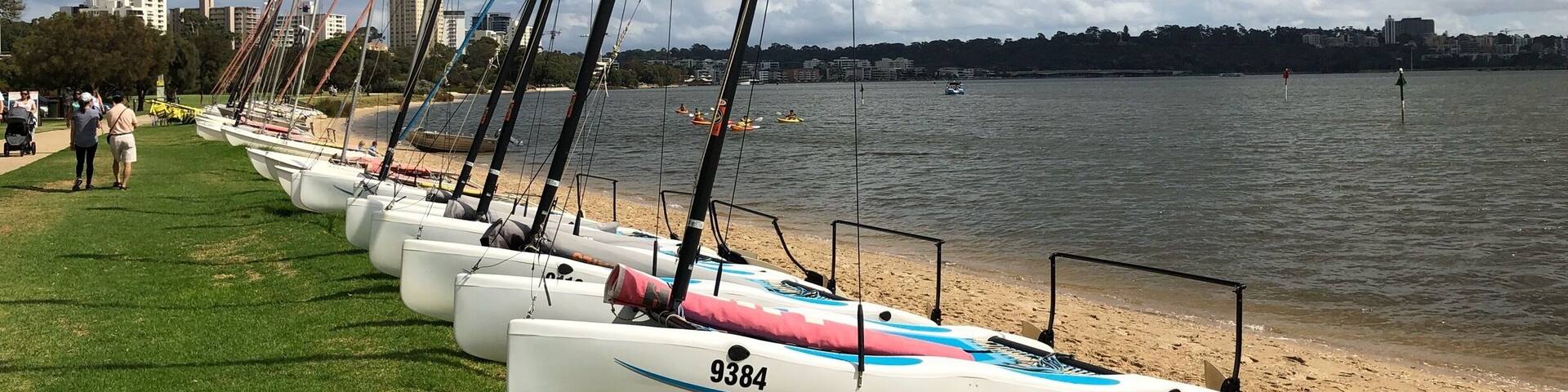 A row of sailboats lined up on a grassy beach with a body of water and buildings in the background.