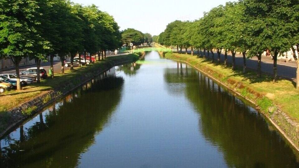 A calm canal flanked by trees and a road.