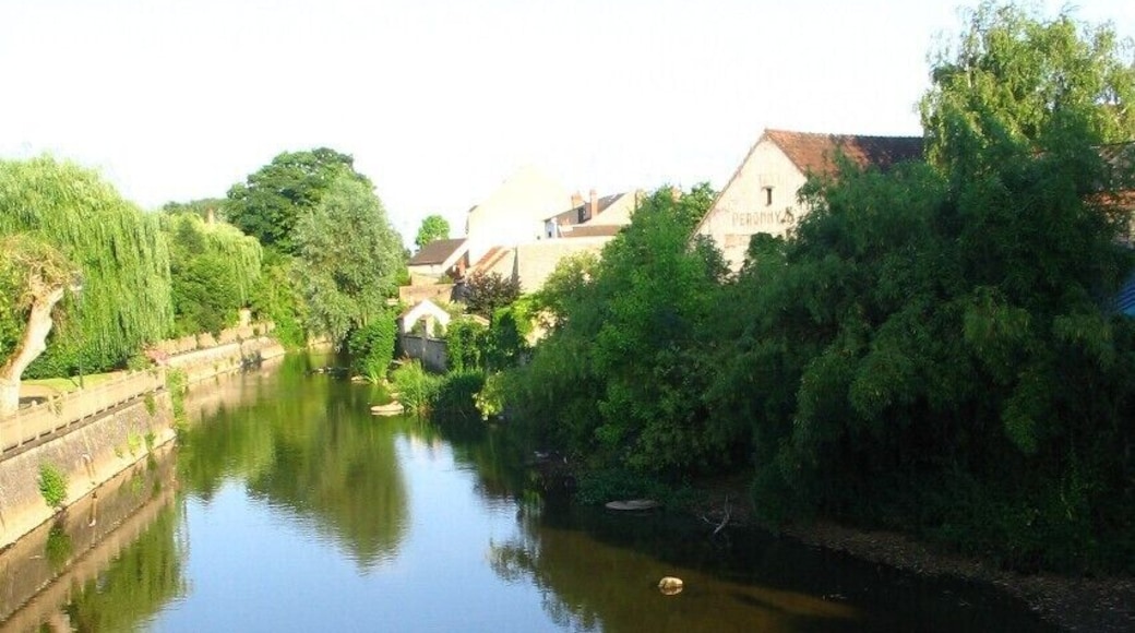 Non, nous ne sommes pas dans la sous-préfecture de Lot et Garonne, mais aux confins du Berry et Bourbonnais ! Affluent du Cher en rive droite, qu’elle rejoint au niveau de la gare de Saint Amand-Orval, la Marmande prend sa source 45 km au sud, vers Cérilly, Allier, au-delà de la forêt de Tronçais. Elle longe, sur une grande partie de son cours, l’ancien canal de Berry.