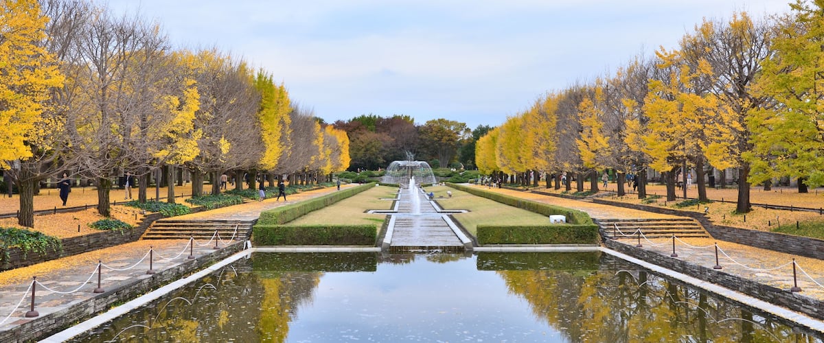 国営昭和記念公園