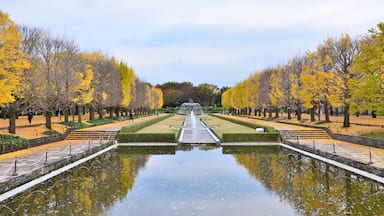 Un jardín simétrico con una fuente central, rodeado de árboles con hojas amarillas, y un estanque tranquilo que refleja el paisaje.