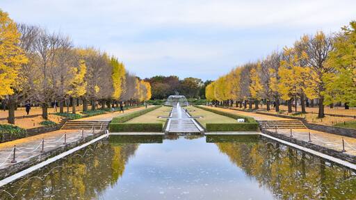 国営昭和記念公園