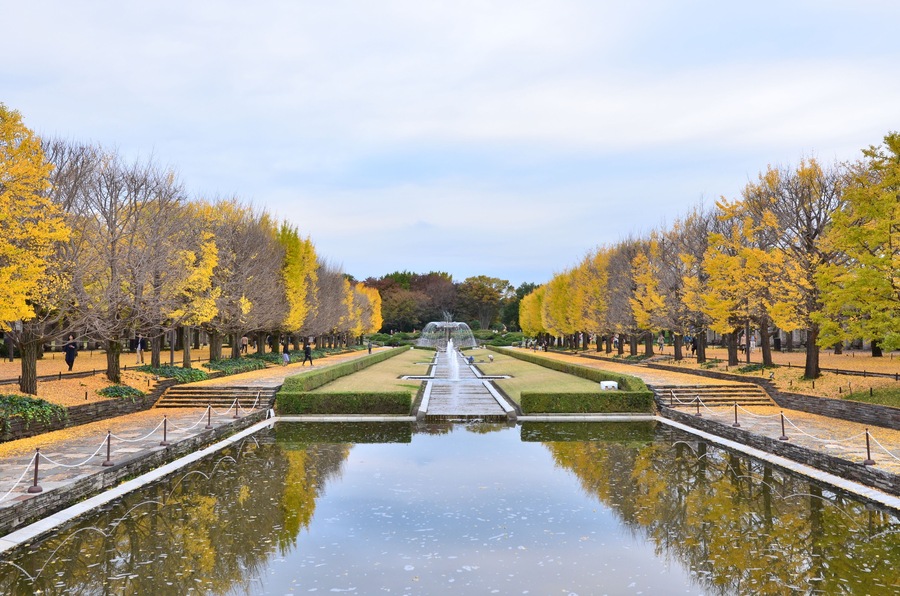 国営昭和記念公園