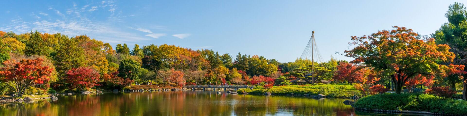 A panoramic view of the Japanese garden.