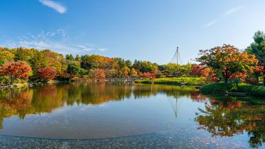 A panoramic view of the Japanese garden.