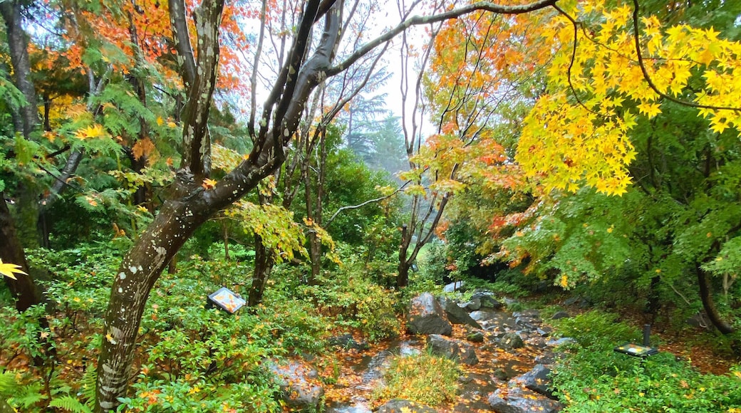 Traveling in Japan at the end of autumn gives you opportunities to see beautiful carpets of colorful leaves, even under the water #lifeatexpediagroup