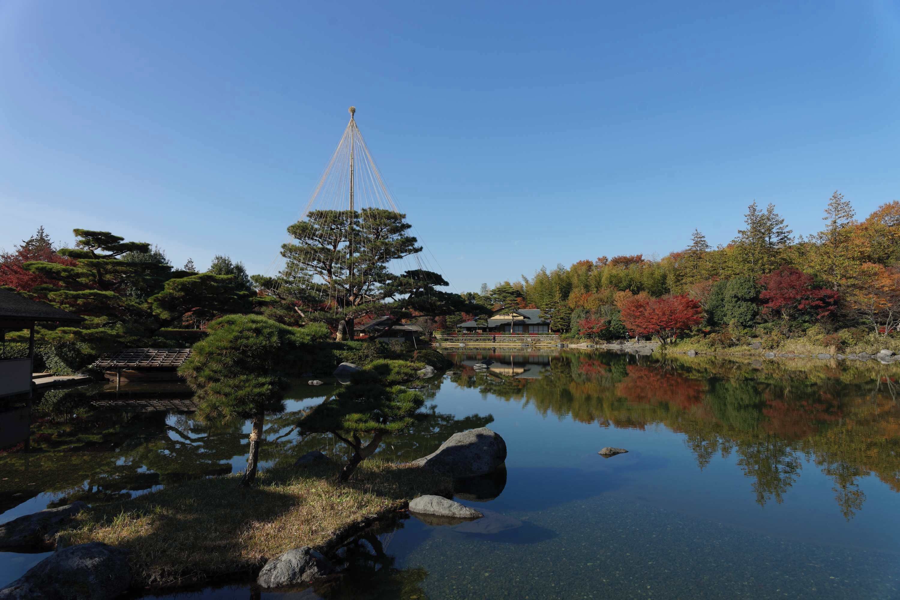 昭和記念公園 日本庭園