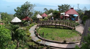 i assume or imagine this will be the "garden" within the courtyard... i took the photo from building, which i supposed to be the palace.
if my imagination right, that "round ground" should be a pond where fish, koi and turtle will be placed, then suit that bridge across "pond"
pathetic they not try to refurbish or reconstruct it, i am sure it will more attractive