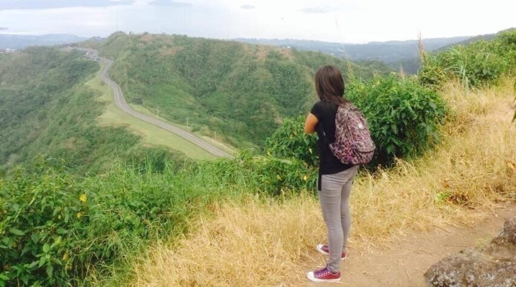 The view from People's Park