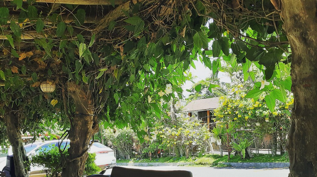 It's been a while since the last time I posted..rather,few years? LOL 🤣 anyways, enjoy this pic . #Tagaytay #Bench #Cavite