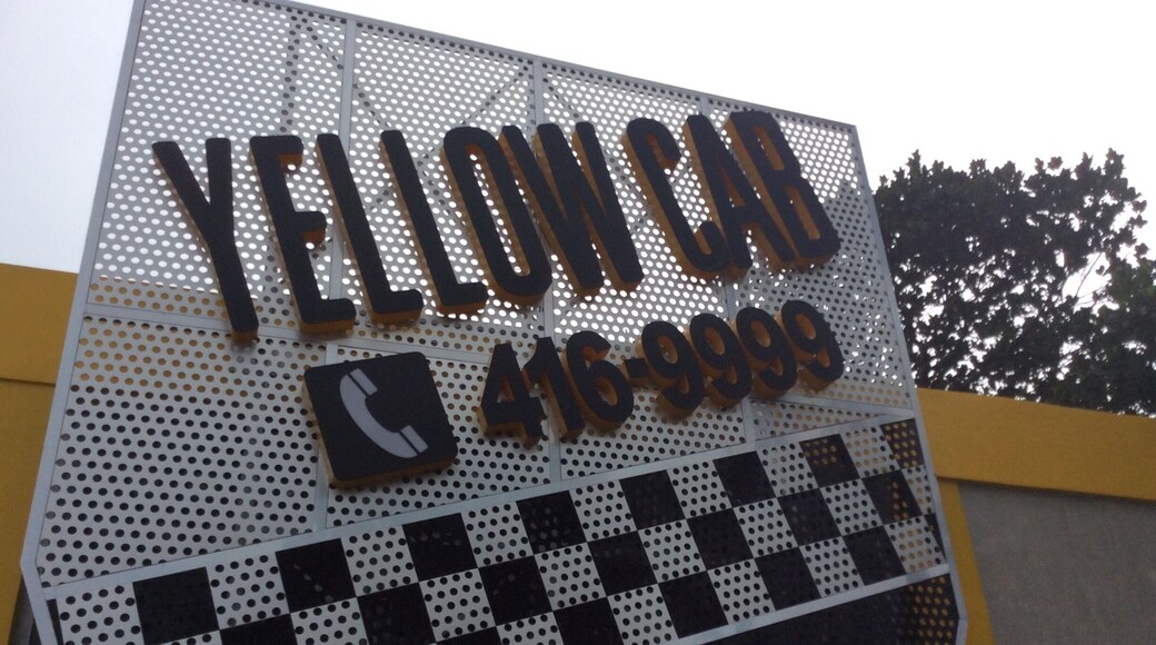 Try yellow cab pizza and pasta in Manila- really nice!