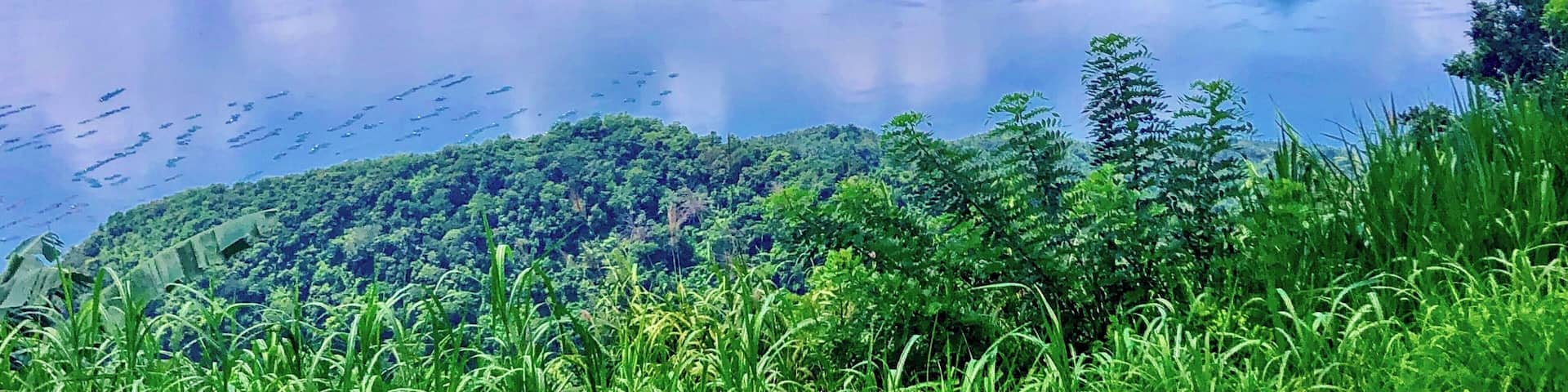 #tagaytay #philippines #nature