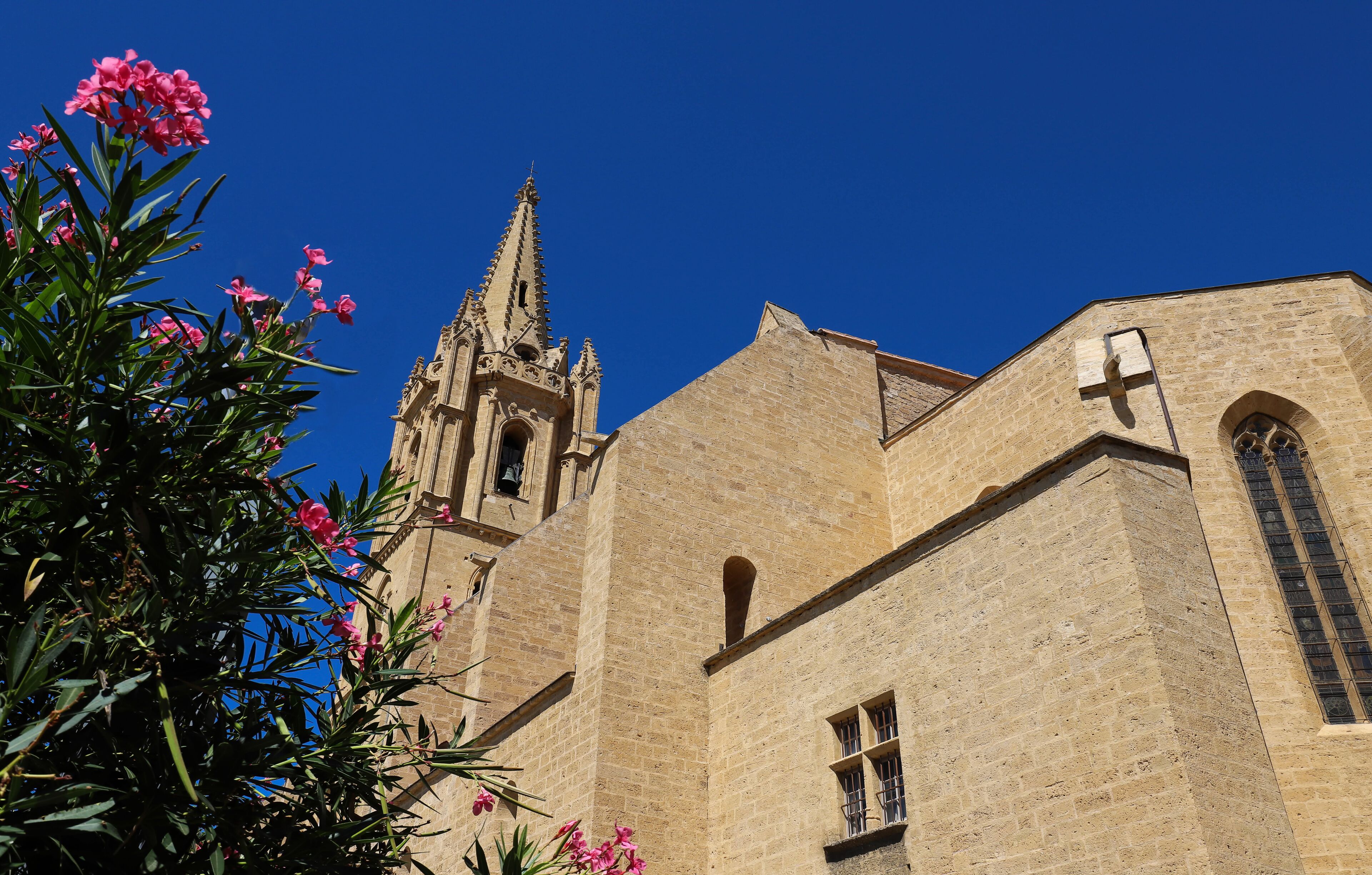 The collegial church Saint Laurent is an excellent example of France's meridional Gothic style. Salon-de-Provence, France