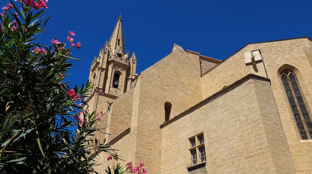 The collegial church Saint Laurent is an excellent example of France's meridional Gothic style. Salon-de-Provence, France