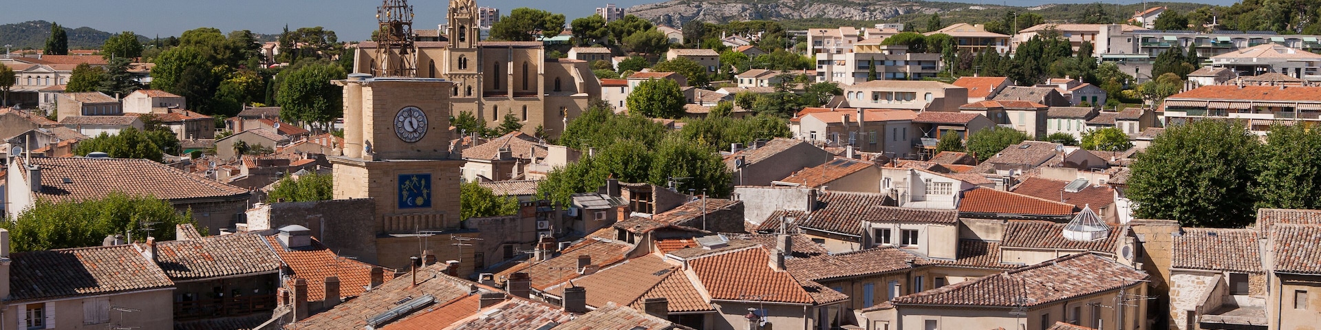 View of Salon de Provence from the Castle