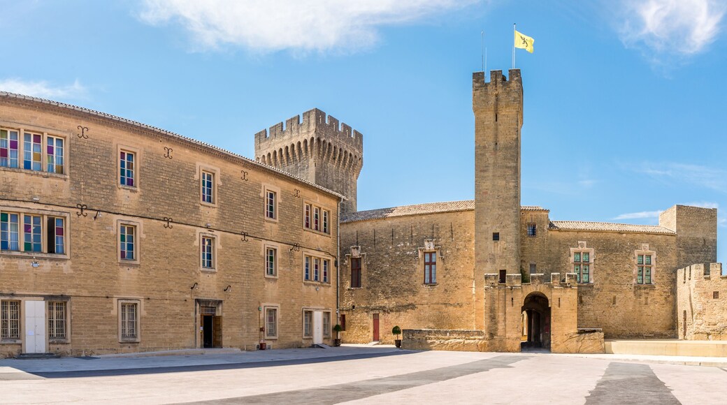 Panoramic view at the Courtyard of Empori Castle in Salon-de-Provence, France