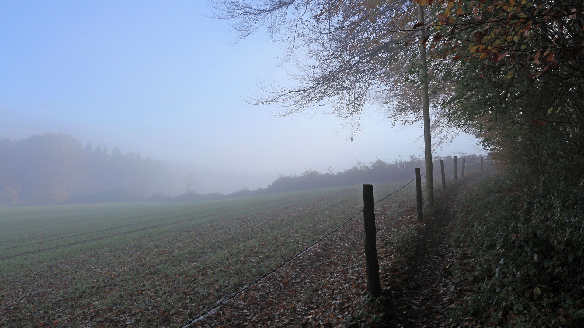 Brochterbeck, Hermannsweg