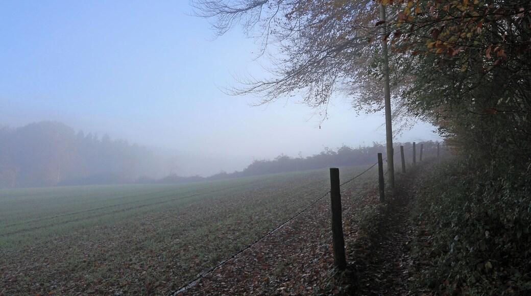 Brochterbeck, Hermannsweg