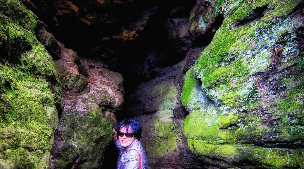 Nikon D300 with Tokina AT-X Pro SD 12-24mm F4 (IF) DX