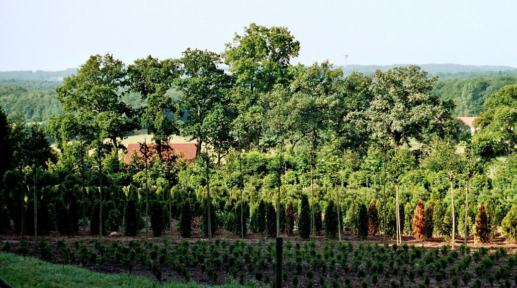 Tecklenburg, at the Hagelstraße