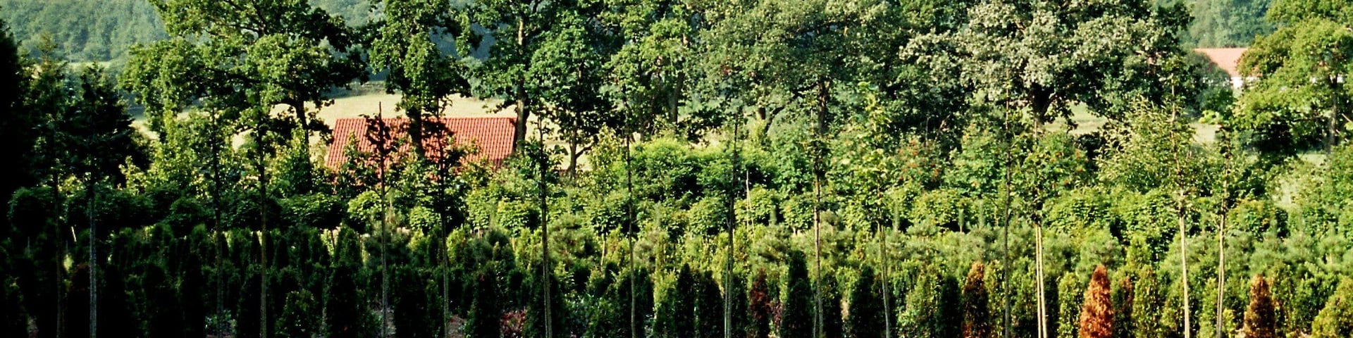 Tecklenburg, at the Hagelstraße