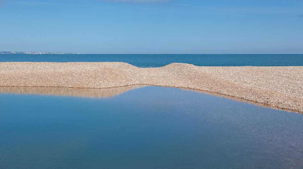 Pool of water on Dungeness beach; one of the largest shingle beaches in Europe.