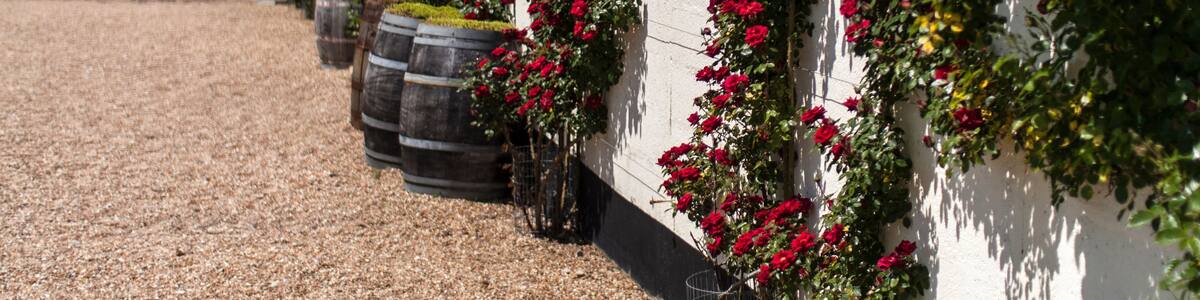 Eine Mauer mit rot blühenden Rosen, Fässern und Kiesboden.