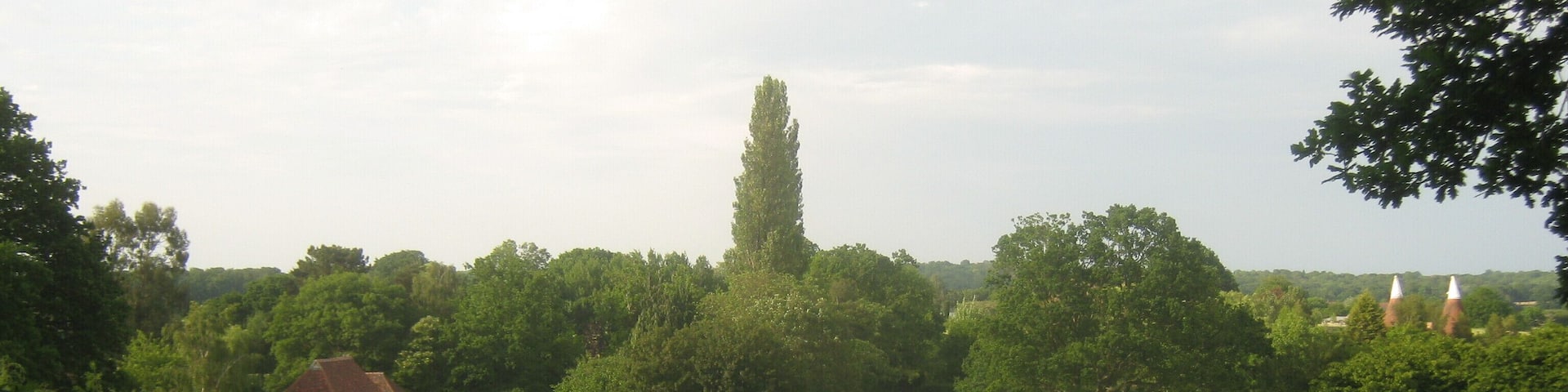 A green field with sheep grazing, trees, and a red-roofed building.