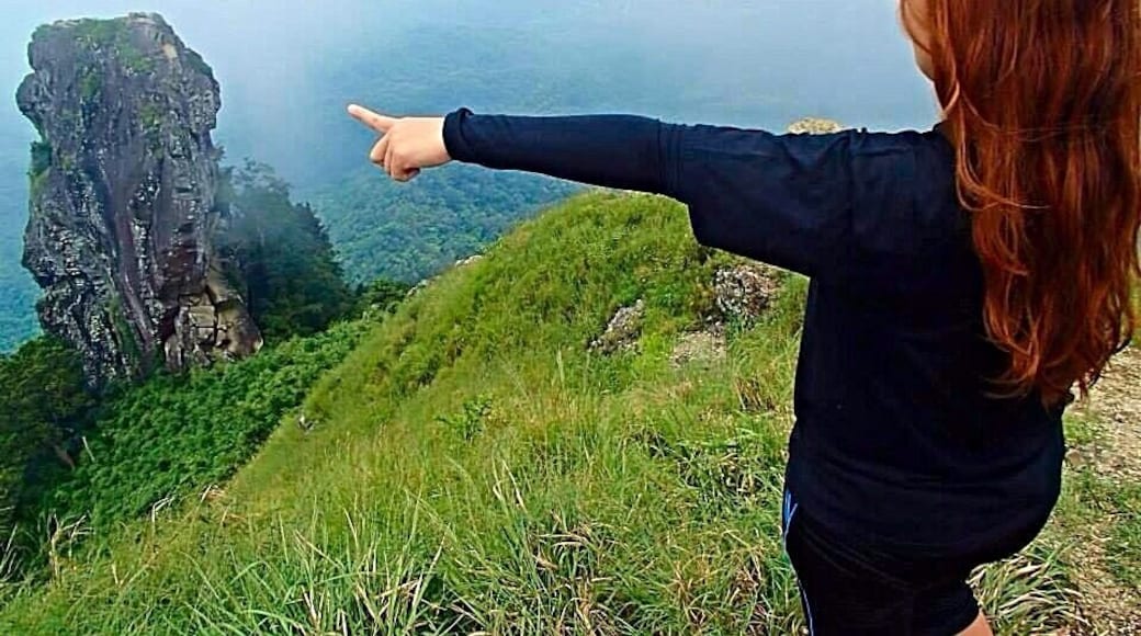 That is Monolith a.k.a Parrot's Beak