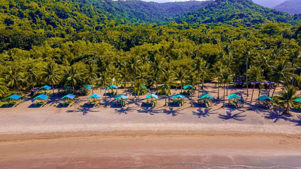 A beach with rows of palm trees and blue umbrellas.
