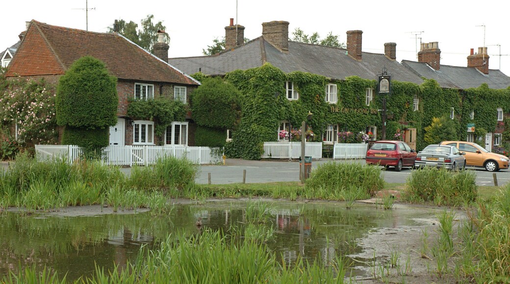 The pond in Aldbury with the Greyhound Inn in the background. Hertfordshire, England, UK.