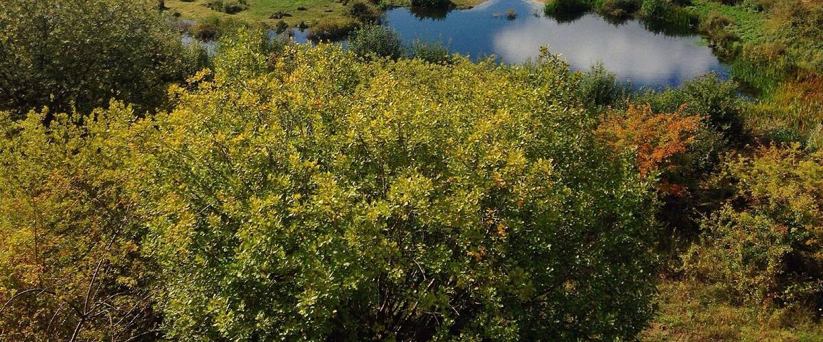 This reserve is on the border of Buckinghamshire and is home to migrating birds. Originally a quarry it has been transformed into this wildlife haven.