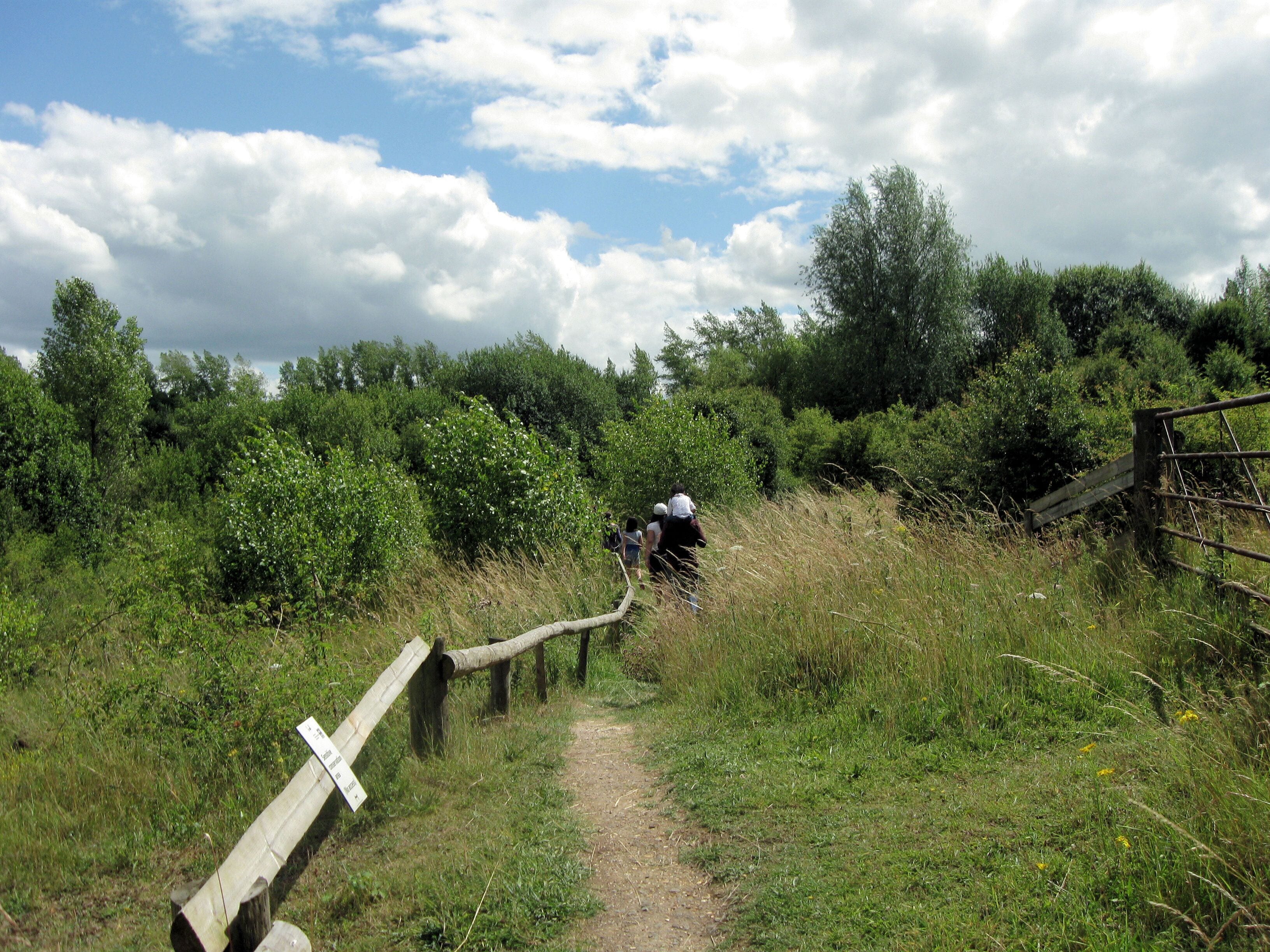 Footpath through rough grassland and scrub, College Lake There is a quarry road all round the top of the quarry, but at this point the walking route runs along the gently sloping bank of the quarry through an area of rough grassland and scrub. (College Lake Nature Reserve http://www.bbowt.org.uk/content.asp?did=23523 )