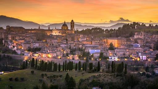 Urbino