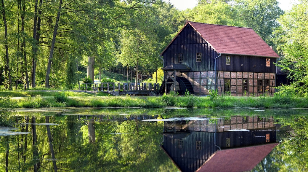 Die Cordinger Mühle (am Morgen) an der Warnau in Benefeld (Lüneburger Heide, Deutschland)