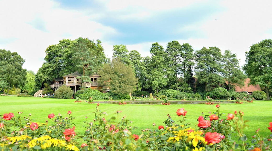 Weltvogelpark Walsrode (Baumhaus, tree house)